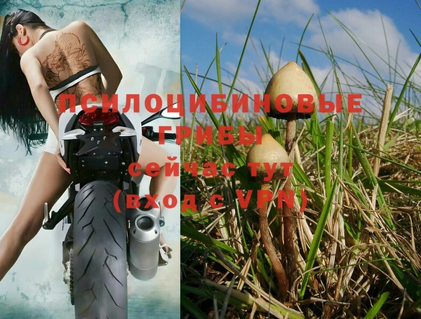ПСИЛОЦИБИНОВЫЕ ГРИБЫ Струнино