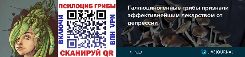 Галлюциногенные грибы MAGIC MUSHROOMS Вольск