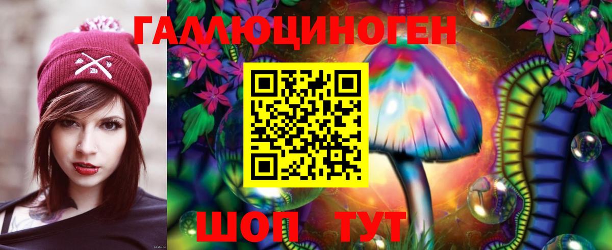 Псилоцибиновые грибы Cubensis Вольск