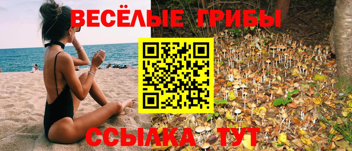 Галлюциногенные грибы Magic Shrooms  Вольск 
